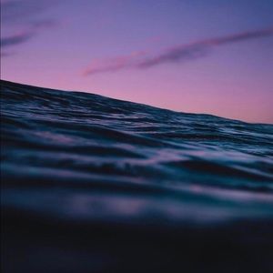 Meet your Posher, Cherish